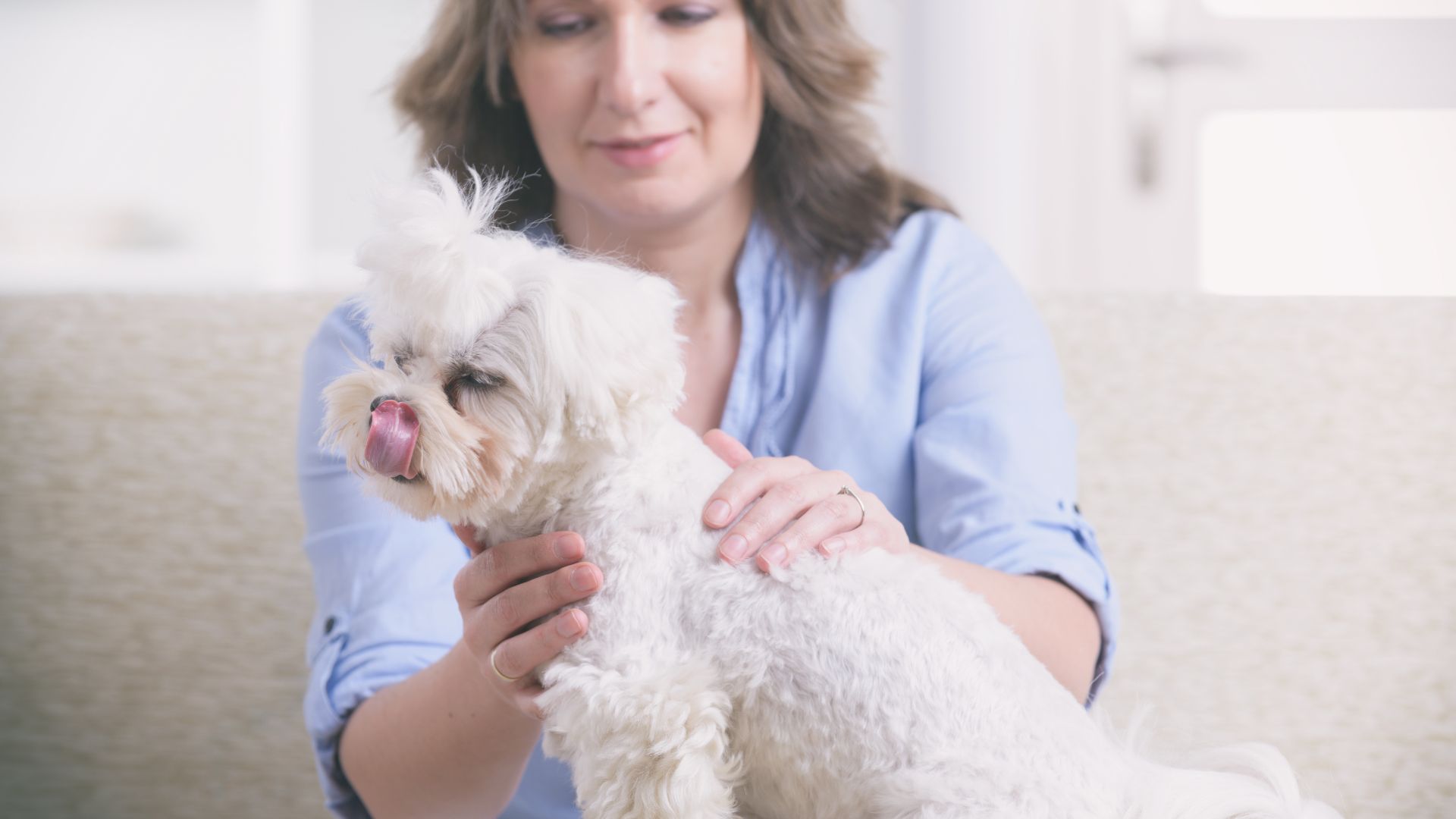 Terapia para Animales en Cantabria